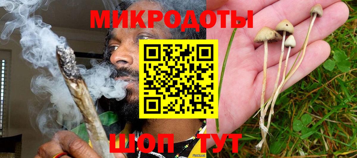 Псилоцибиновые грибы прущие грибы Нижнеудинск